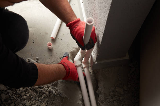 Best Plumbing Repair Near Me  in Cannon Falls, MN