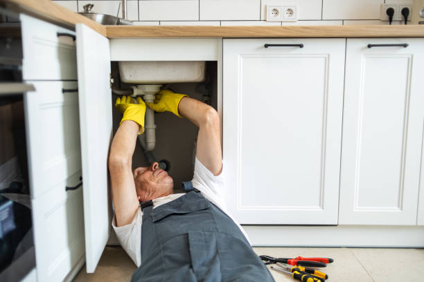 Best Affordable Plumbing Services  in Cannon Falls, MN