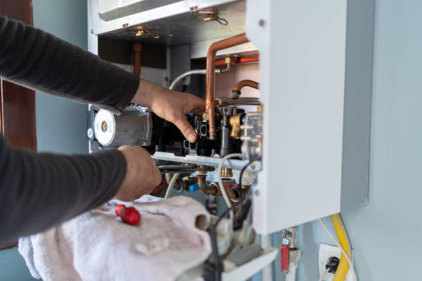 Best Leak Detection Services  in Cannon Falls, MN