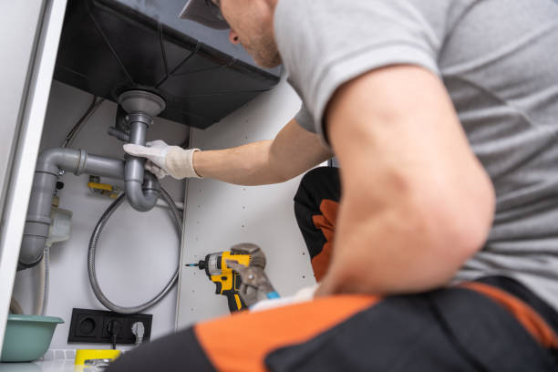 Best Toilet Repair Services  in Cannon Falls, MN